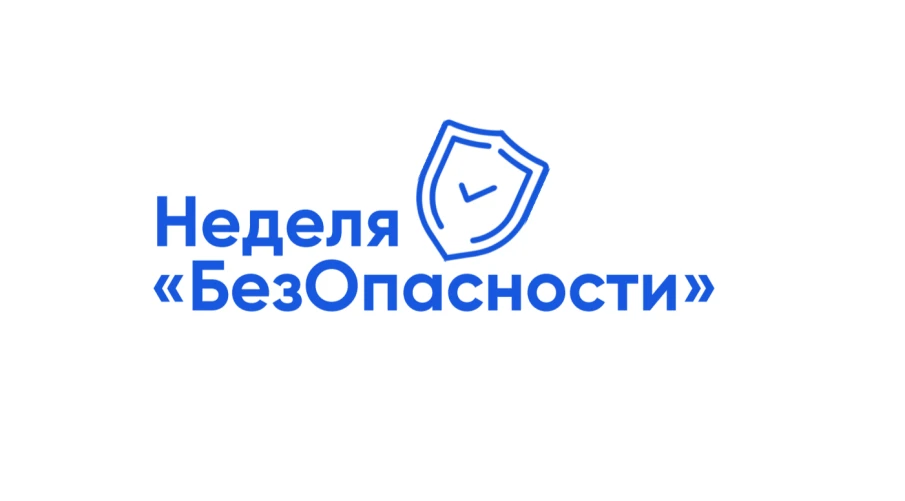 О профилактике деструктивных явлений нижегородцам расскажут в ходе всероссийской акции «Неделя БезОпасности»